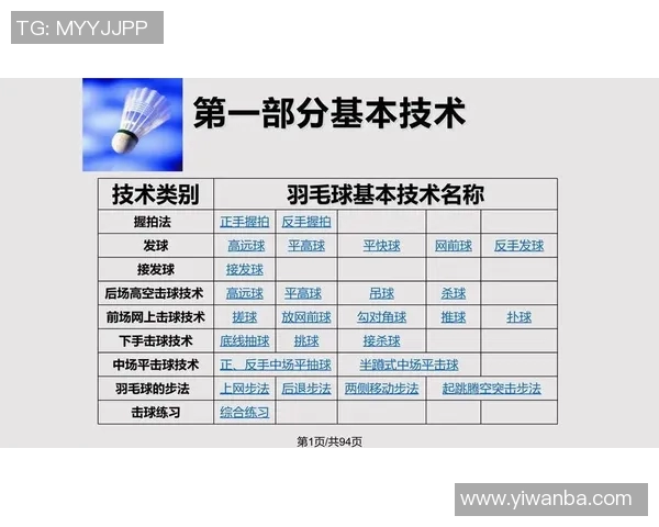 羽毛球战术解析：深入探讨杭州羽毛球队的防守与反击策略