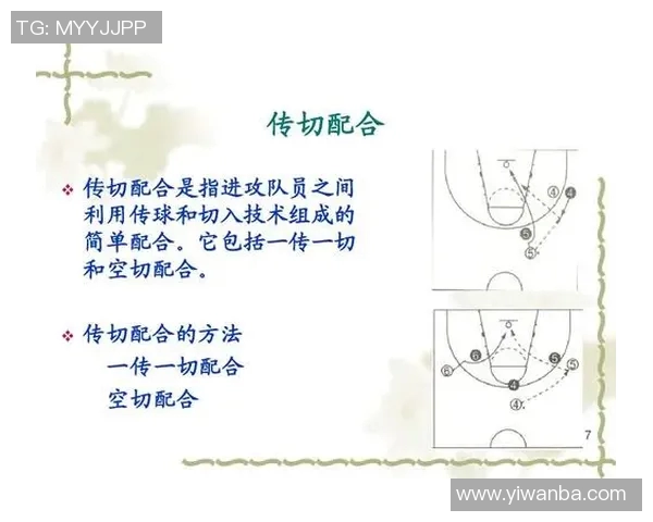 深圳篮球队在冠军赛中的战术分析与表现评估 深圳篮球队在冠军赛中的战术分析与表现评估