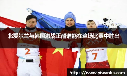 北爱尔兰与韩国激战正酣谁能在这场比赛中胜出