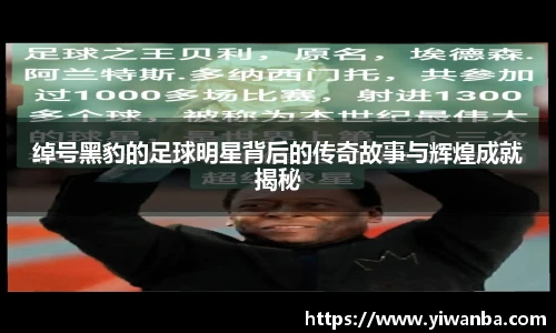 绰号黑豹的足球明星背后的传奇故事与辉煌成就揭秘